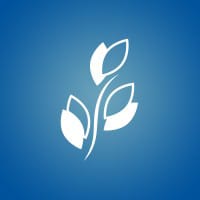 BKD logo