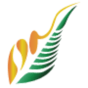 P8Z logo