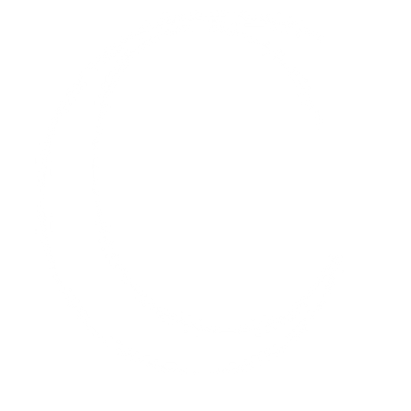 V06 logo