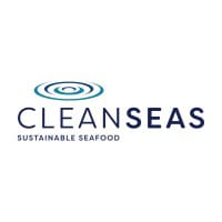 CSS logo
