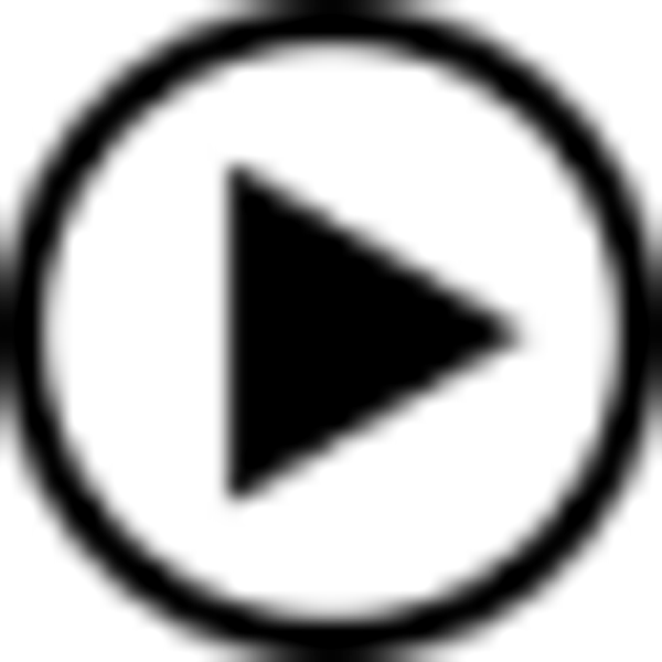 300940 logo