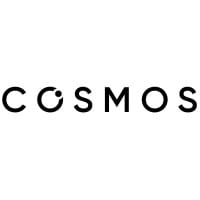 C1X logo