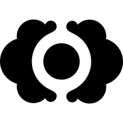 CVST logo