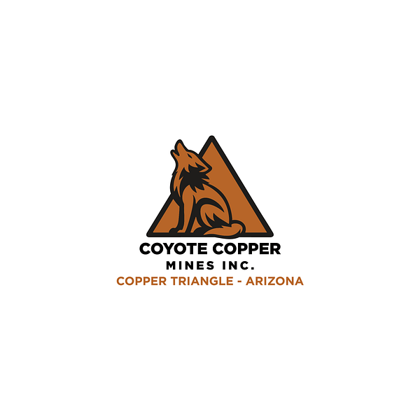CCMM logo