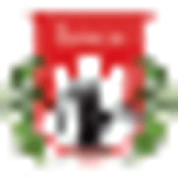 DMNR logo