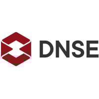 DSE logo