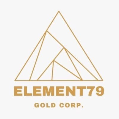 ELEM logo