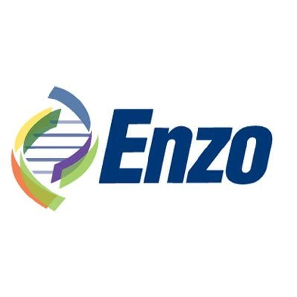 EZB logo