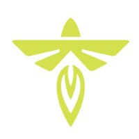 FLY logo