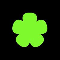 CT4 logo