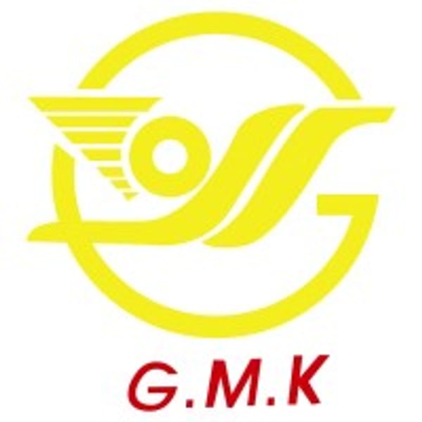 300619 logo