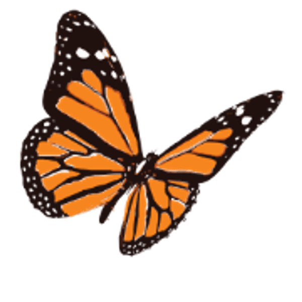 AGNP.D logo