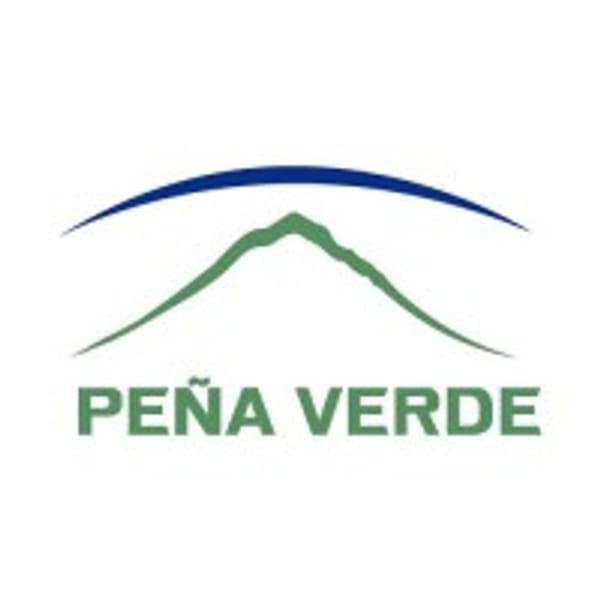 PV * logo