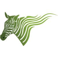 GZIC logo
