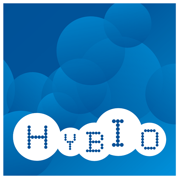 300199 logo