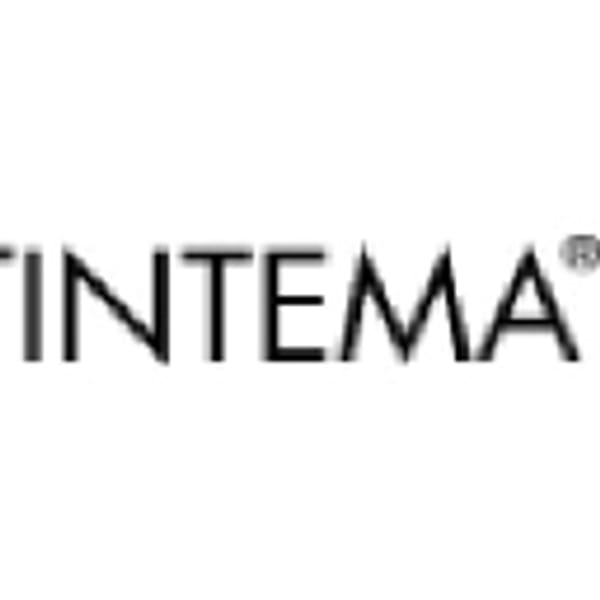 INTEM logo