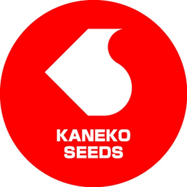 1376 logo