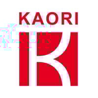 8996 logo
