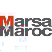 MSA logo