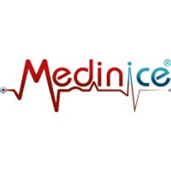 ICE logo