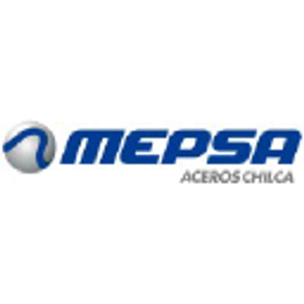MEPSAI1 logo