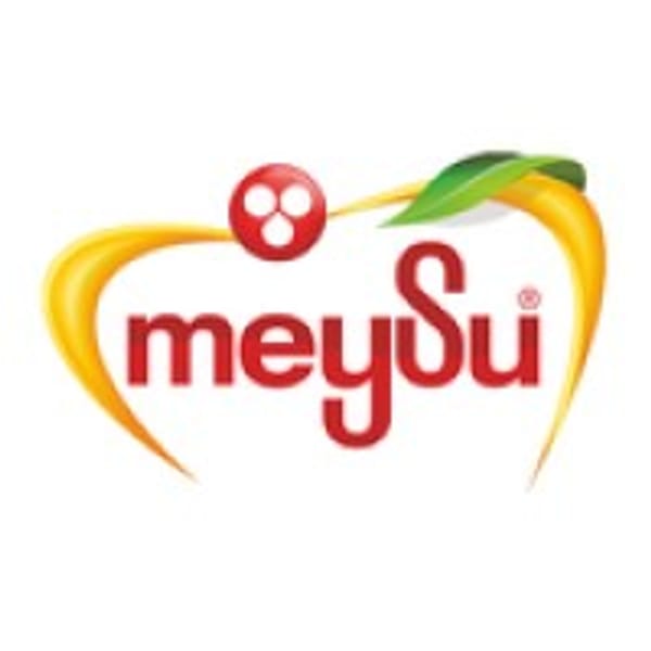 MEYSU logo