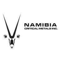 NMI logo