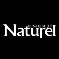 NATEN logo