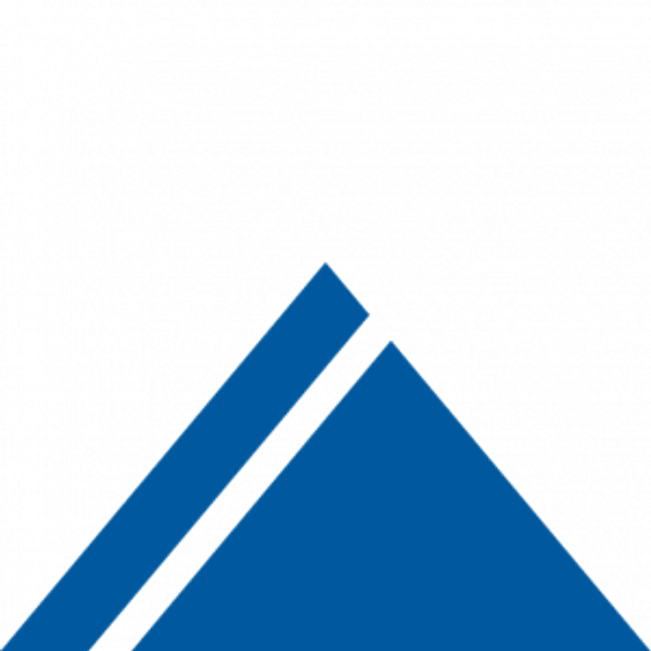 NSN logo