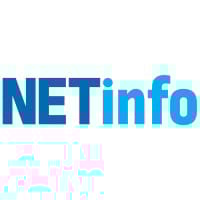 NETIN logo