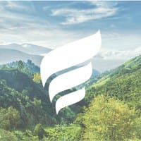 NFE logo