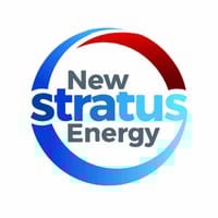 NSE logo