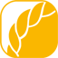 5ML logo