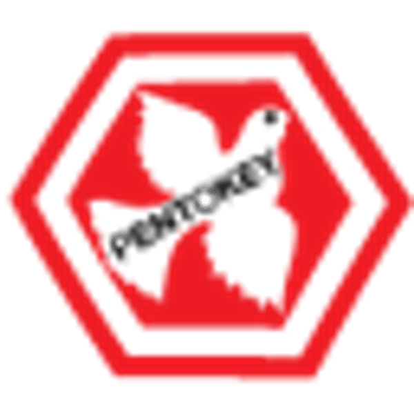 524210 logo