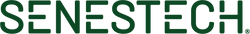SNES logo