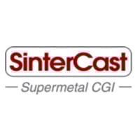 SINT logo