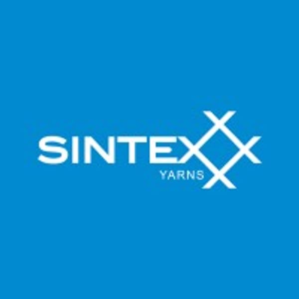 SINTEX logo