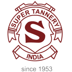 523842 logo