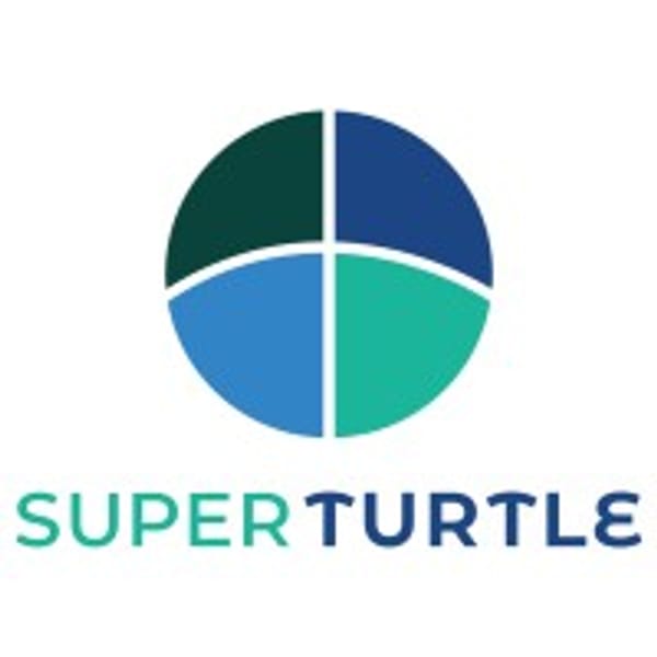 TURTLE logo