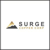 SURG logo