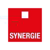 SDG logo