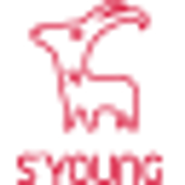 300740 logo