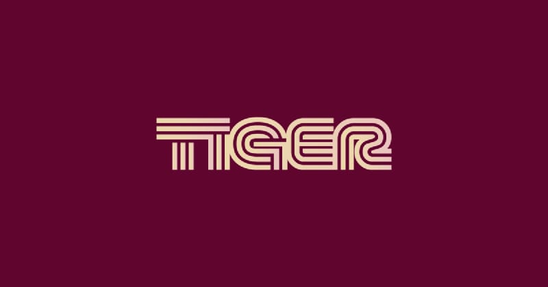 TIR logo