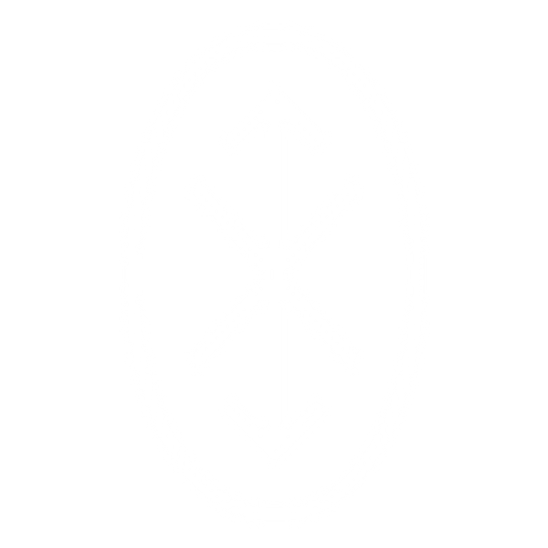 TSI logo