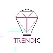TDIC logo
