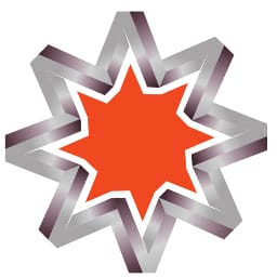 TGN logo
