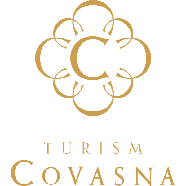 TUAA logo