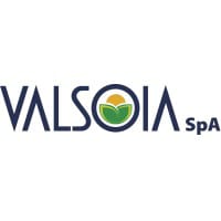 VLS logo