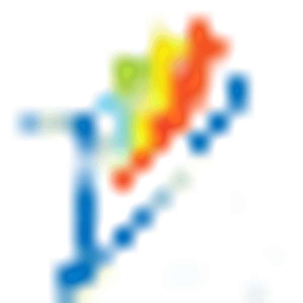 VASA logo