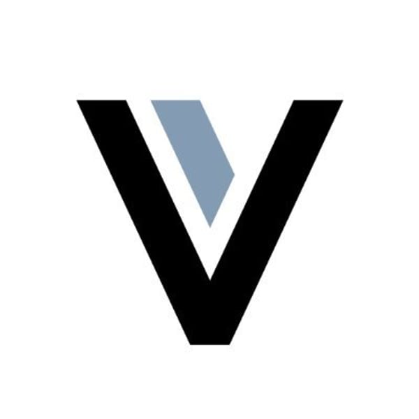 VSNT logo